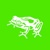 frog Logotype