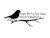 From Britt's Eye View Photography Logotype