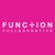 Function Collaborative Logotype