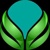 Green Expose Digital Logotype