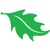 Green Park Logotype