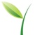 Green Vine Marketing Logotype