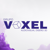 VOXEL Group Logotype