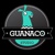 Guanaco Studio Logotype
