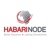 Habari Node Logotype
