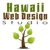 Hawaii Web Design Studio Logotype