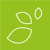Hayas Logotype