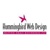 Hummingbird Web Design Logotype