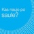 IDEA PRIMA Logotype
