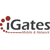 iGATES - INFORMATION GATES Ltd Logotype