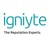 Igniyte Logotype