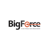 Big Force Logotype
