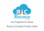 Rococo Consultant Pvt Ltd Logotype