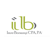 Imre Borsanyi CPA, PA Logotype