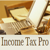 Income Tax Pro Logotype