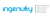 Ingenuity Technologies Limited Logotype