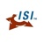 Intellitive Solutions Inc. Logotype