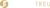 Jason Treu Executive Coaching Logotype