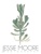 Jessie Moore Photography Logotype