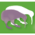 Kiwi Marketing Group Logotype