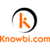 Knowbi Agencia Digital Logotype