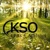 KSO CPAs + Advisors Logotype