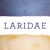 Laridae Logotype