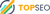 Topseosydney Logotype