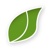 Lima Bean Logotype