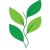 LinkvisionSoft Logotype