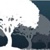 Little Orchard Logotype