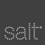 Salt Branding Logotype