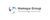 HamayaGroup LLC Logotype