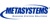Metasystems Inc Logotype