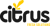 Citrus.ph - We Build Brands, Websites And Online Marketing Strategies That Get Results Logotype