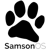 SamsonOS Logotype