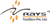 Rays TechServ Private Limited Logotype