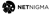 NetNigma Logotype
