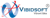 VIBIDSOFT Logotype
