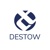 Destow Infotech Logotype
