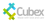 Cubex Logotype