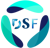 DigiSciFi Technologies Logotype