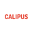 Calipus Software Pvt Ltd Logotype