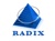 Radixweb Logotype
