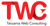 Tanzania Web Consulting Logotype