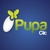 Pupa Clic Technologies Logotype