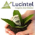 Lucintel Logotype