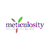 Meticulosity Logotype