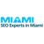 Miami Seo Logotype