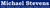 Michael Stevens Estates Logotype